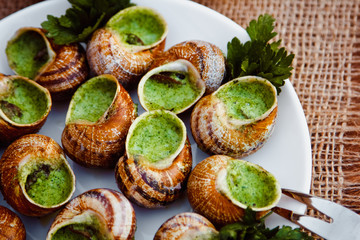 Escargots de Bourgogne - Snails with herbs butter, gourmet dish in French traditional  with parsley and bread on white platter