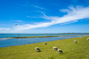 Am Hochwasserdamm in Lemkenhafen auf Fehmarn