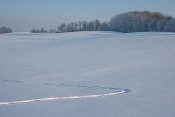 Pola zasypane śniegiem Wzgórza Dylewskie - obrazy, fototapety, plakaty