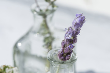 Both of essential oil with lavender