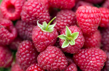 sweet ripe raspberry