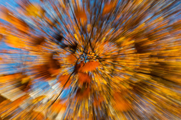 Obraz premium Zoom effect motion blur orange autumn leaves abstract