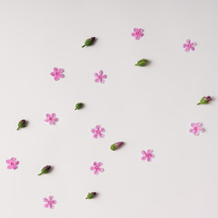 Pink flowers and buds pattern.