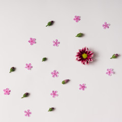 Pink flowers and buds pattern.