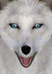 3D Rendering Arctic Fox