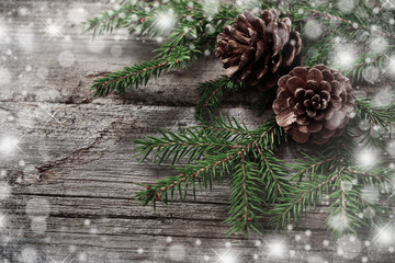 Christmas background with fir branch