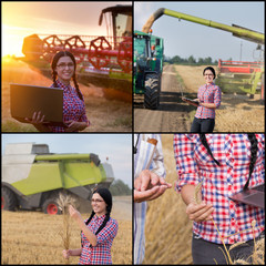 Barley harvesting collage