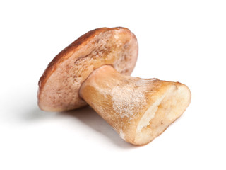 Wet porcini isolated