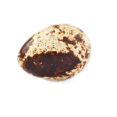 Quail egg isolated over white background