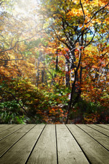 Wooden empty and blur autumn background.