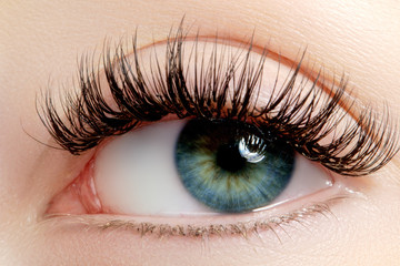 Beautiful macro shot of female eye with extreme long eyelashes and black liner makeup. Perfect shape make-up and long lashes. Cosmetics and make-up. Closeup macro shot of fashion eyes visage