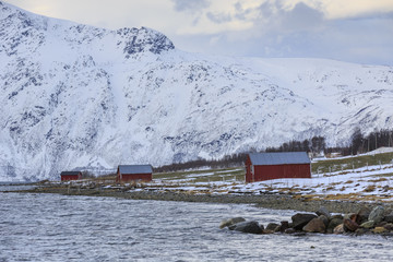 Red Rorbu Fishing Huts on Ullsfjord shoreline near Svensby, Troms county, Norway