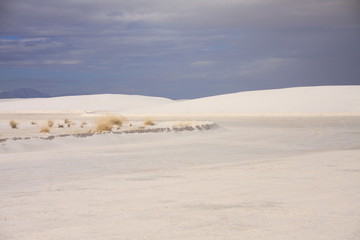 Fototapeta na wymiar White sands desert