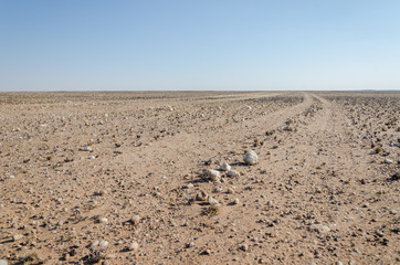 Track running through flat rocky and arid desert scenery in ancient Namib Desert of Angola