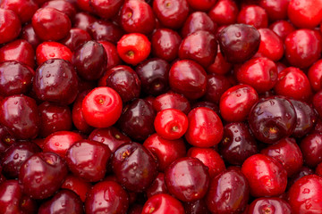 Sweet cherry background.  ripe cherries