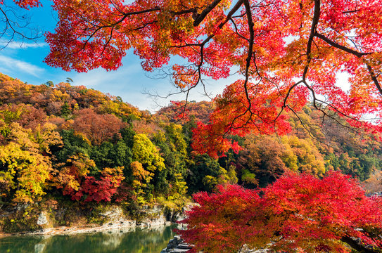 長瀞 秋の紅葉