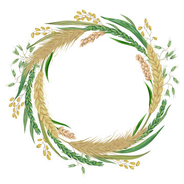 Wreath with cereals. Barley, wheat, rye, rice, millet and oat. Collection decorative floral design elements. Isolated elements. Vintage vector illustration in watercolor style.