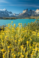 Fototapeta na wymiar Farbenfrohes Chile