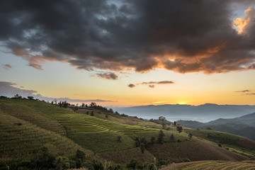 Terraced Rice Field at Sunset, Pa Pong Pieng , Mae Chaem, Chiang Mai, Thailand