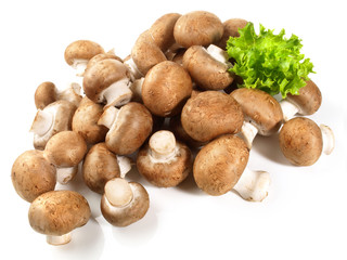 Steinchampignons