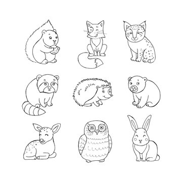 Doodle set of cute animals with squirrel, fox, lynx, raccoon, hedgehog, bear, deer, owl and rabbit. Cute forest animal set,doodle sketch collection