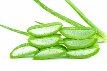 Slice Aloe Vera (Aloe barbadensis Mill.,Star cactus, Aloe, Aloin, Jafferabad or Barbados) a very useful herbal medicine for skin care 