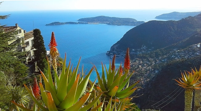 Beautiful view of the village of Eze, a botanical garden with cacti, aloe. Mediterranean, French Riviera