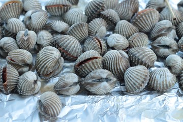 Grilled cockles placed on foil on the stove.