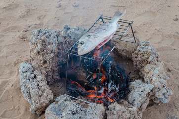Freshly caught fish being grilled over open campfire out in the desert