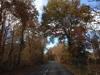 route girondine en automne