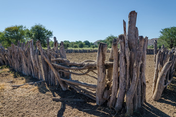 Traditional wooden kraal or enclosure for cattles of Himba tribe people