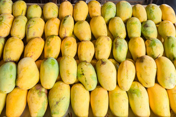 Ripe mango in the market in thailand