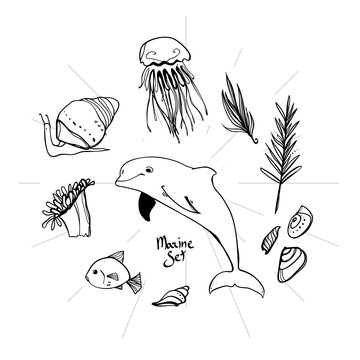 Set of marine icons. Jellyfish, fish, dolphin, snail, shell, seaweed. Cute doodle illustration. Drawn marine life.