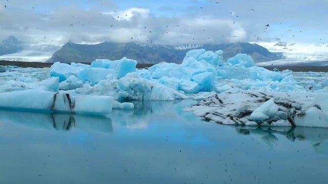 Glacial lagoon, blue icebergs slowly moving by
