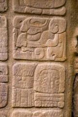  Quirigua Mayan archaeological Site on Guatemala