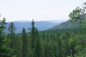 Fototapeta na wymiar view of the wooded hills