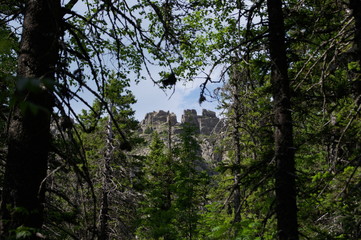 stone ridge surrounded by greenery