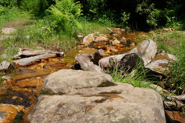 Fototapeta na wymiar mountain stream in the forest