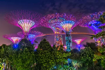 Wandcirkels aluminium Supertree Grove, Gardens by the Bay, Singapur bei Nacht © Christian Schmidt 