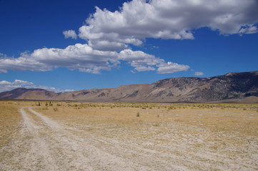 Tracks leading off into the distance in high desert with cloud covered mountain background