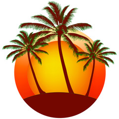 print from Palms silhouettes at orange sunset sky, vector background