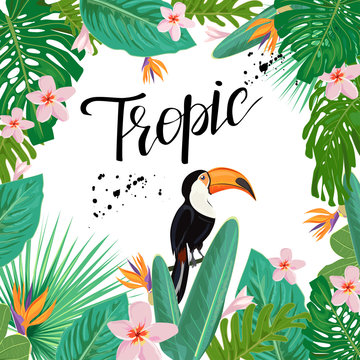 Brigh poster with toucan bird.