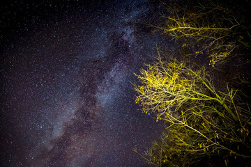 Milky Way Galaxy on nigh sky