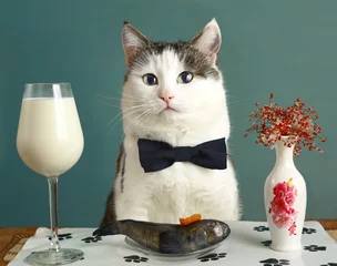 Selbstklebende Tapeten Katze Katze im Restaurant mit Milch und rohem Fisch