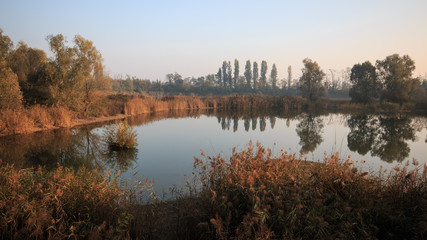 laghetto nel bosco di Vanzago