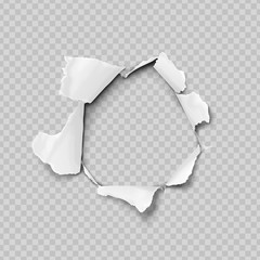 Torn paper realistic, hole in the sheet of paper on a transparent background. No gradient mesh. Vector illustrations. - obrazy, fototapety, plakaty