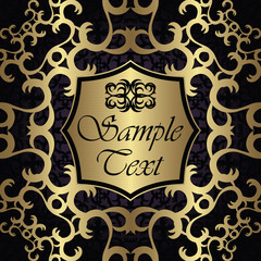 Modern invitation with vintage frame