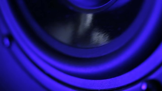 Multimedia system speaker detail