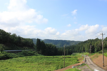 Fototapeta na wymiar 夏の田舎道