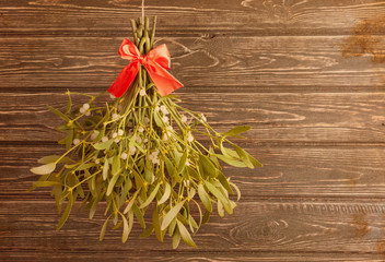 Broom from green mistletoe 